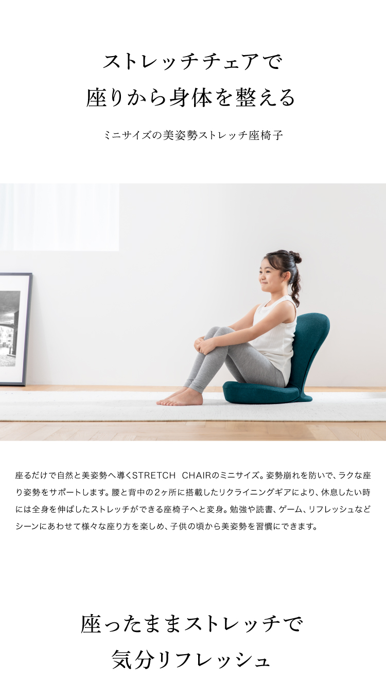 STRETCH CHAIR MINI (ストレッチチェアミニ) ストレッチ座椅子 ミニサイズ 座面ポケット 骨盤周り サポート 美姿勢 2か所のリクライニング 14×14通り 0070-4117 &MEDICAL アンドメディカル