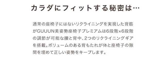 PROIDEA プロイデア 背筋がGUUUN美姿勢座椅子プレミアムを激安で販売する京都の村田家具